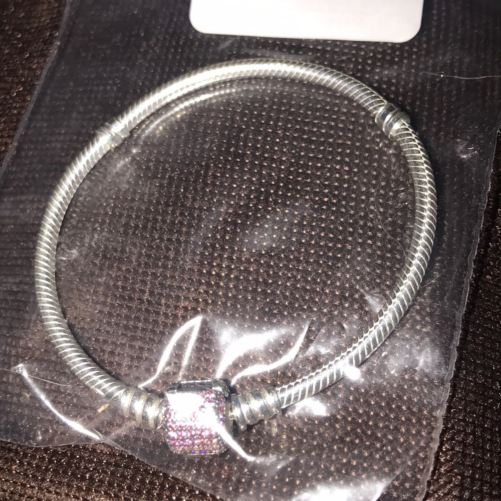 Pandora Charm Bracelet